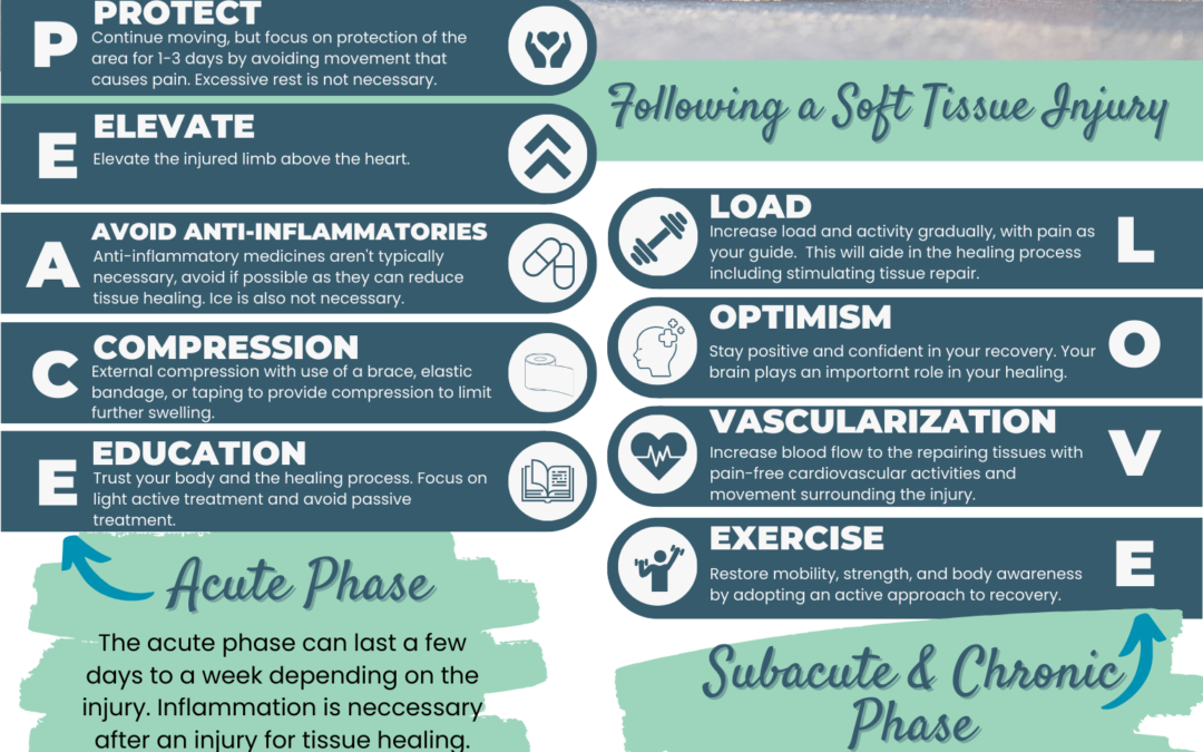 PEACE and LOVE: The New Acronym For The Management of Acute Soft Tissue Injuries
